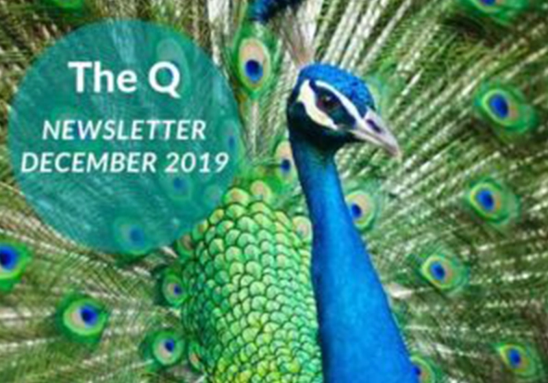 The Q – December 2019