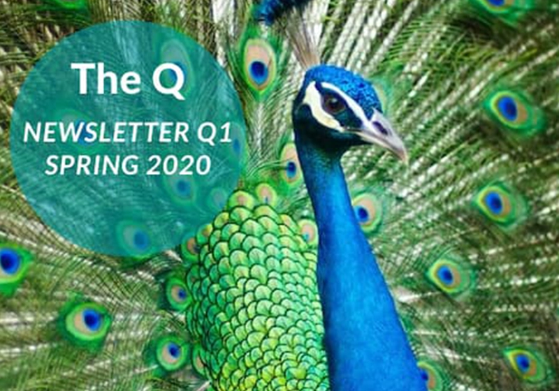 The Q – February 2020