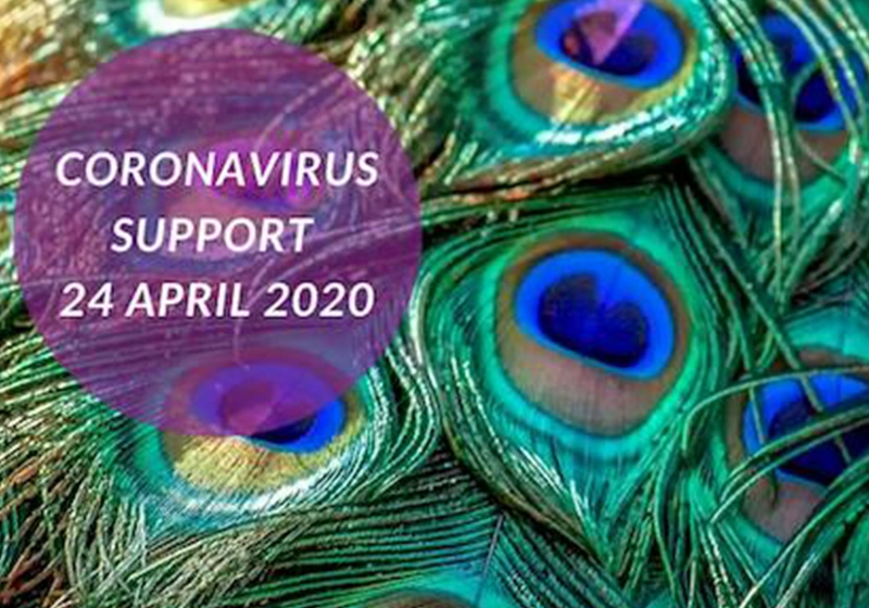 Coronavirus Support Update – 24 April 2020