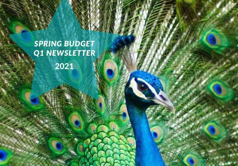 Spring Budget 2021- Q1 Newsletter