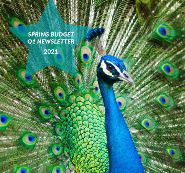 spring budget newsletter